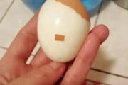 【画像】○○にしか見えないゆで卵が発見されるｗｗｗｗｗｗｗｗｗｗｗｗｗｗｗｗｗｗｗ