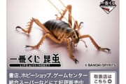 【フィギュア】虫を題材にした一番くじのチョイスが謎すぎる件ｗｗｗｗｗｗｗｗｗｗｗｗｗｗｗｗ