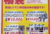 【画像】30万円のフィギュア福袋ｗｗｗｗｗｗｗｗｗｗｗｗ