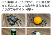 【画像】カニのガチャフィギュアを○○した結果がヤバいｗｗｗｗｗｗｗ