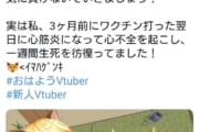 Vtuberさん、超えちゃいけないラインを超えてしまう